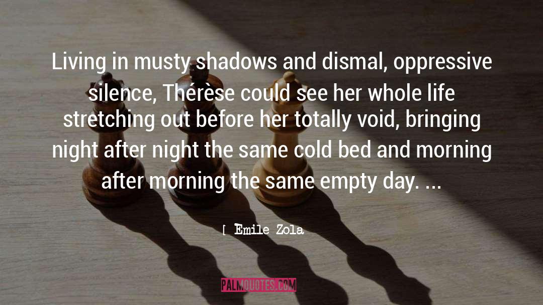 Shadows quotes by Emile Zola