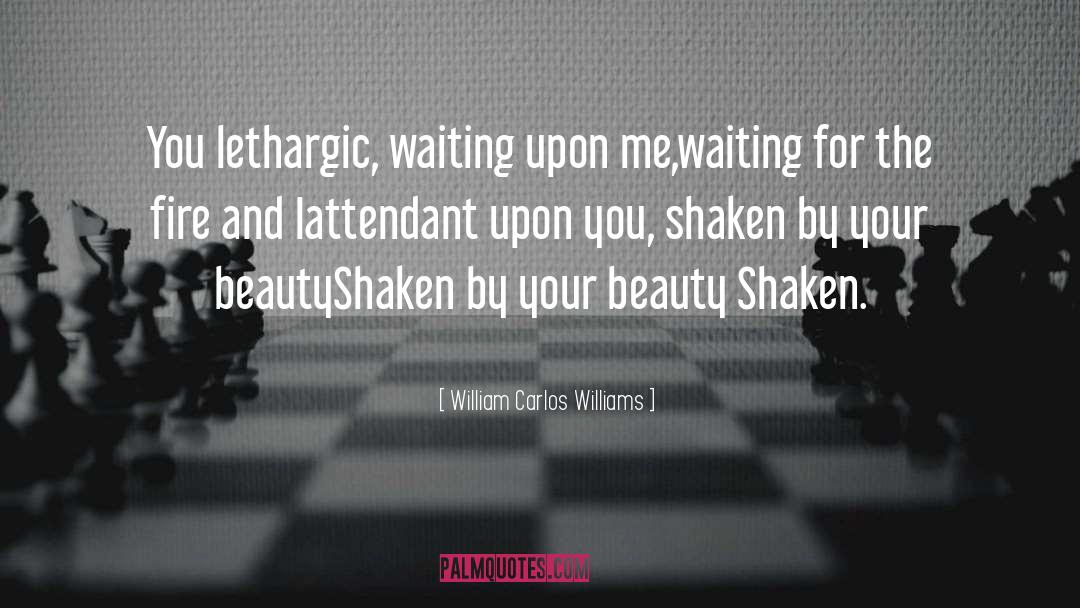 Shaken By Your Beauty quotes by William Carlos Williams