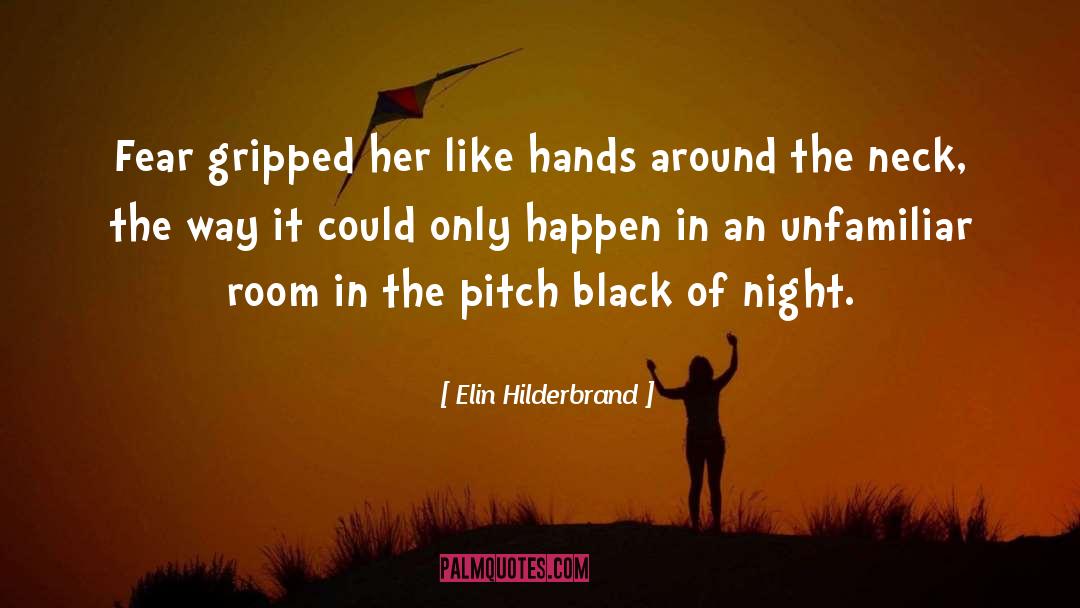 Shaking Hands quotes by Elin Hilderbrand