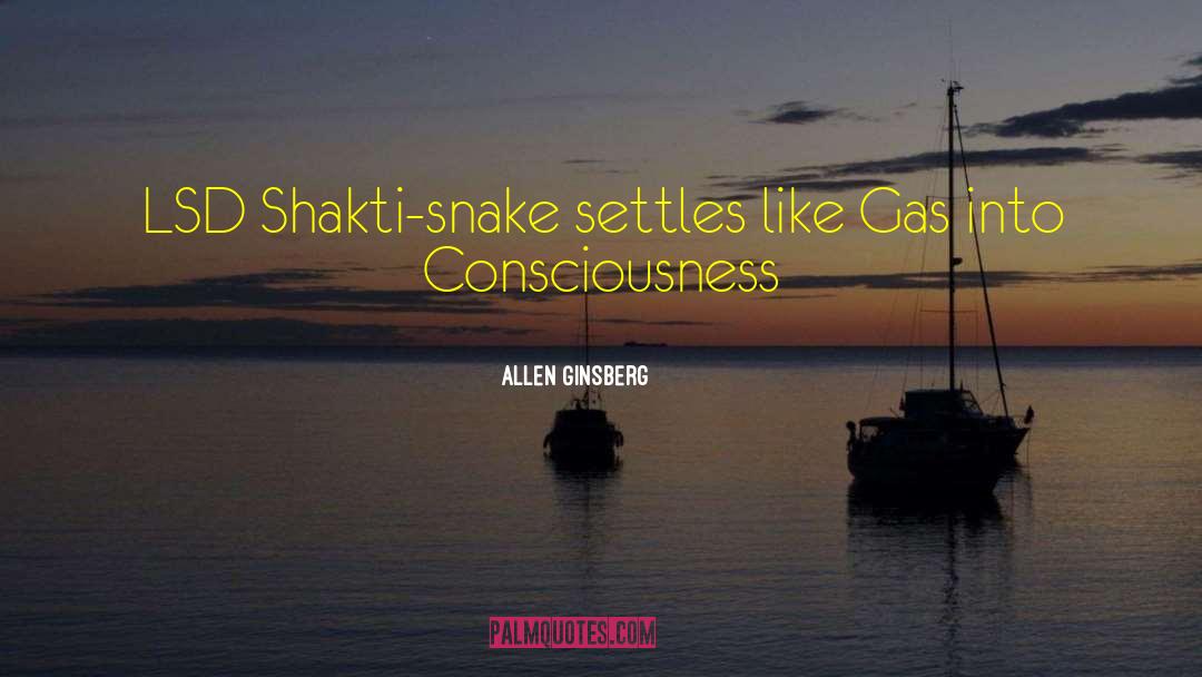 Shakti quotes by Allen Ginsberg