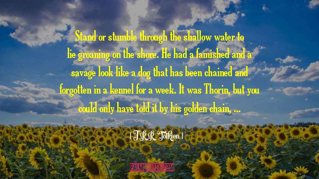 Shallow Water quotes by J.R.R. Tolkien