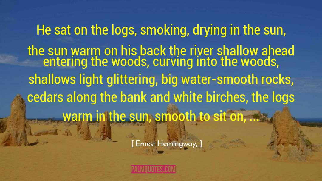 Shallows quotes by Ernest Hemingway,