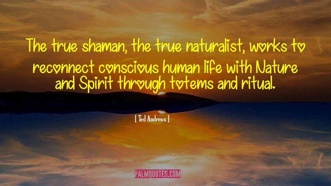 Shaman quotes by Ted Andrews