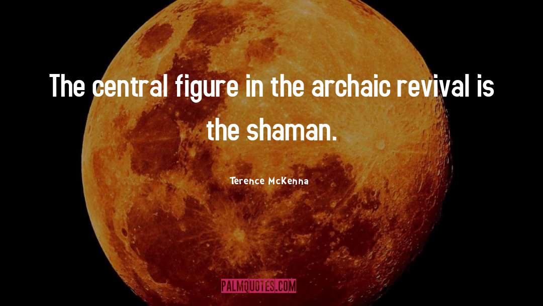 Shaman quotes by Terence McKenna