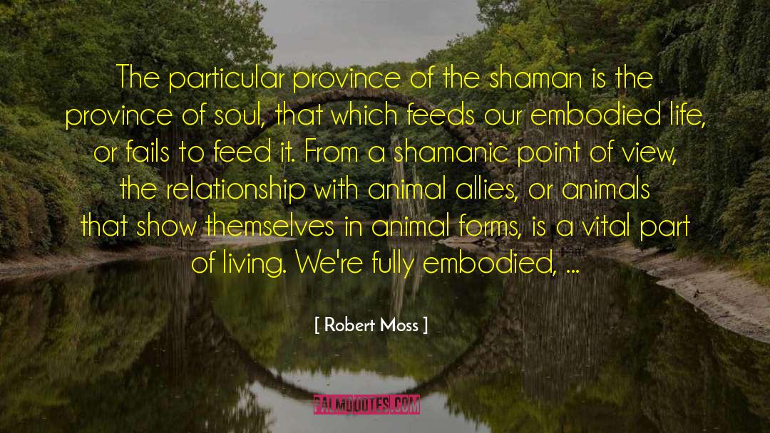 Shaman quotes by Robert Moss