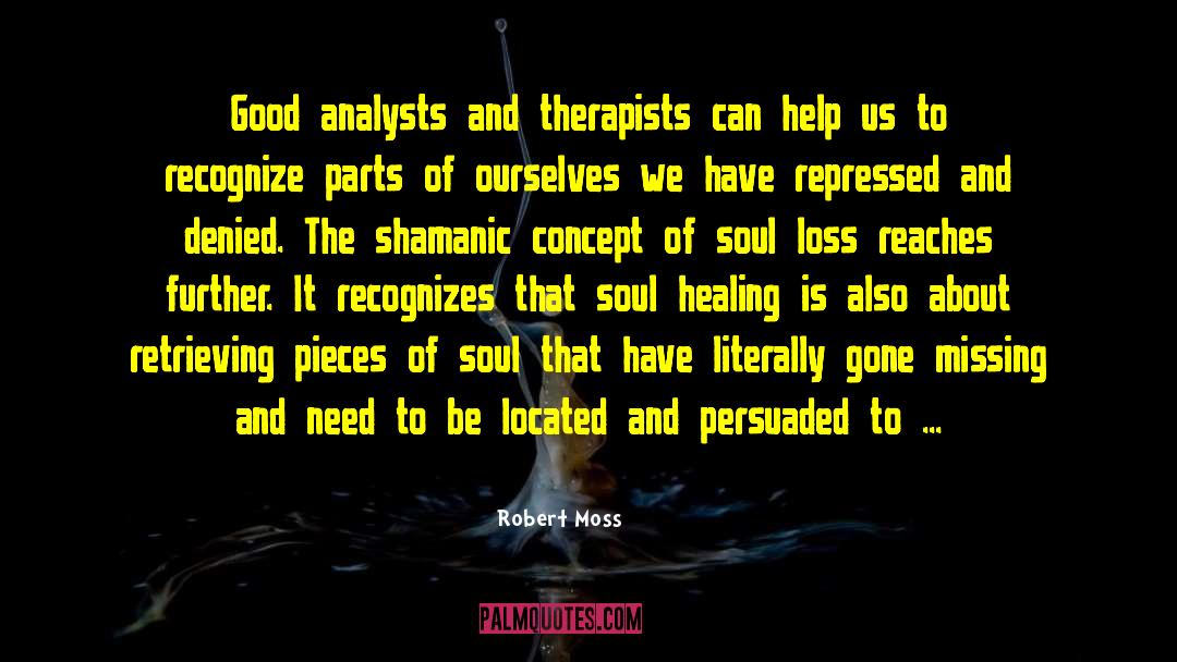 Shamanic quotes by Robert Moss