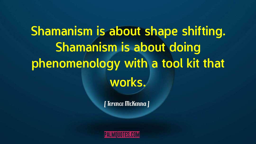 Shamanism quotes by Terence McKenna