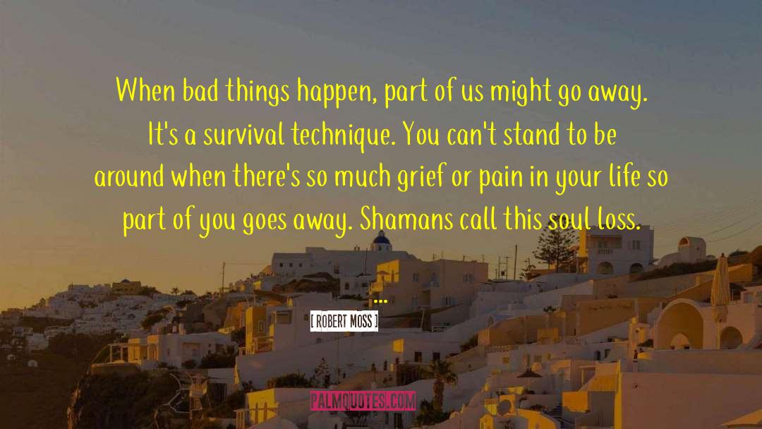 Shamans quotes by Robert Moss
