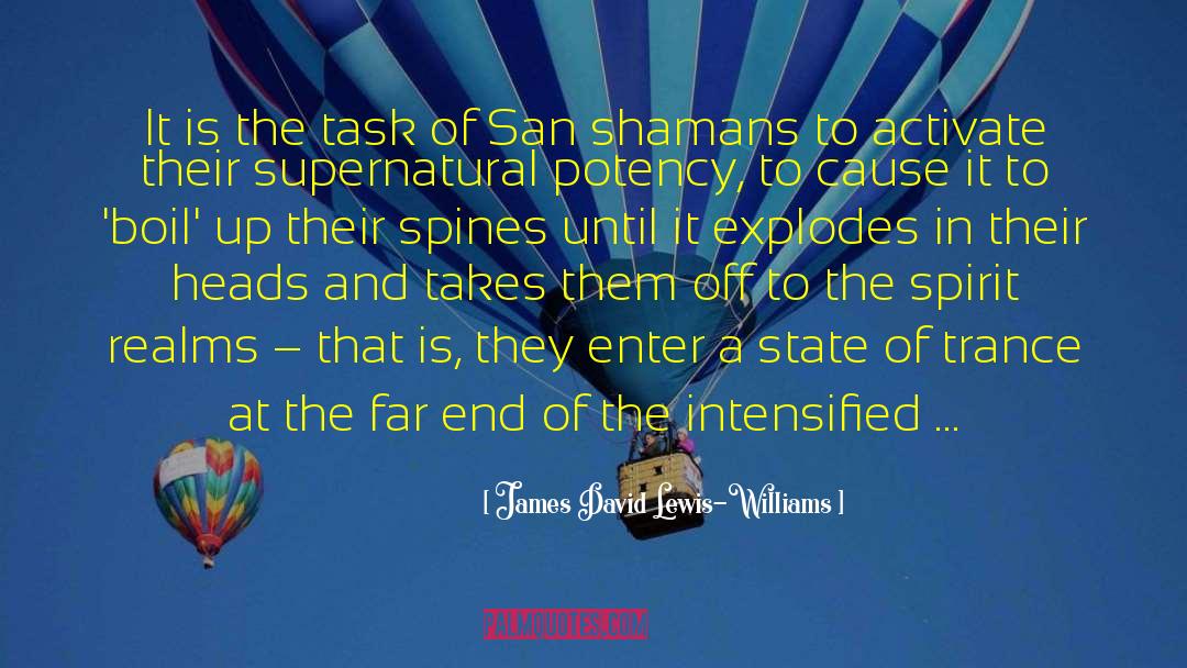 Shamans quotes by James David Lewis-Williams