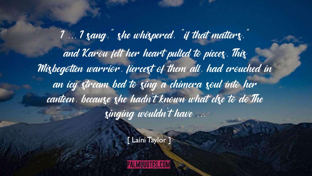Shambhala Warrior quotes by Laini Taylor