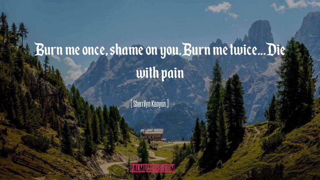 Shame On You quotes by Sherrilyn Kenyon