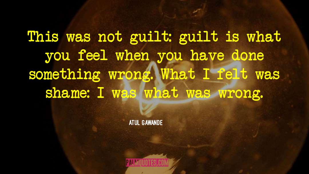 Shame Recovery quotes by Atul Gawande