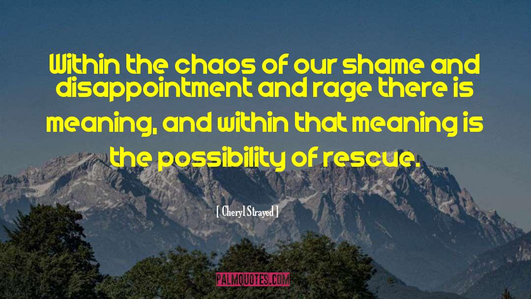 Shame Resilience quotes by Cheryl Strayed