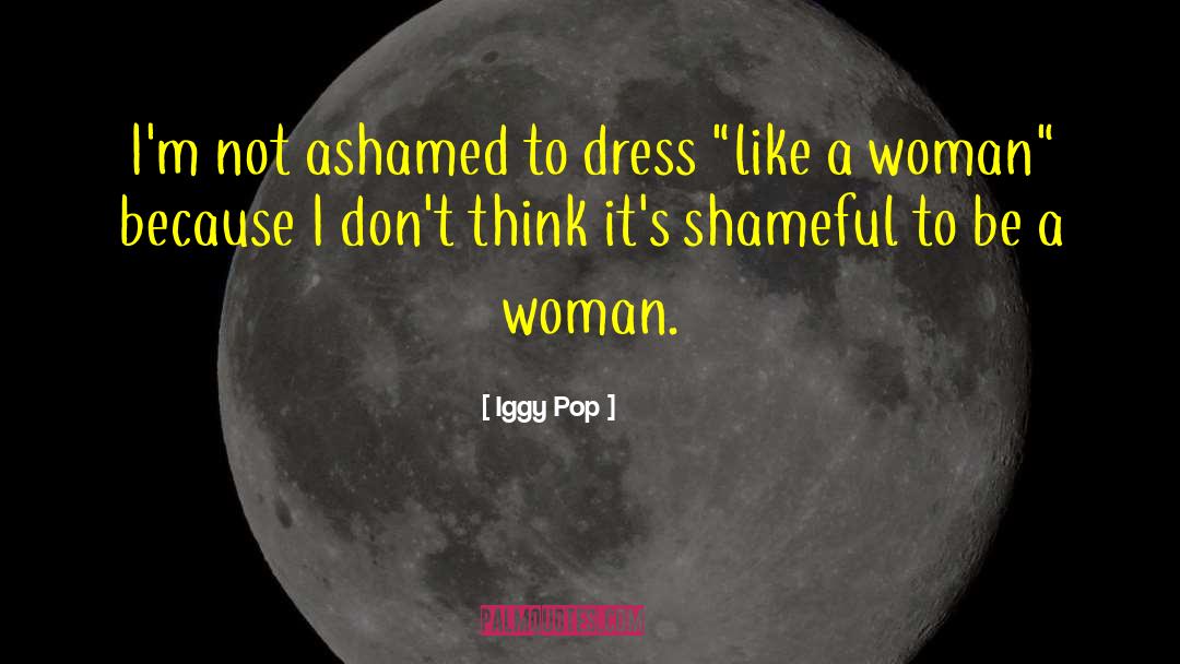 Shameful quotes by Iggy Pop