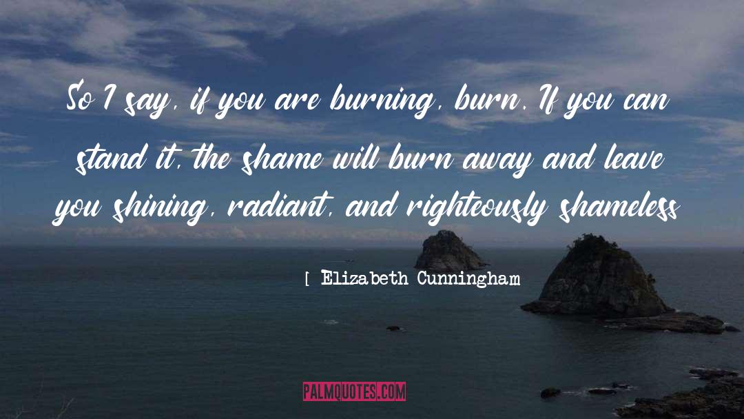 Shameless quotes by Elizabeth Cunningham