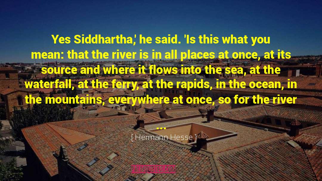 Shameless Siddhartha quotes by Hermann Hesse