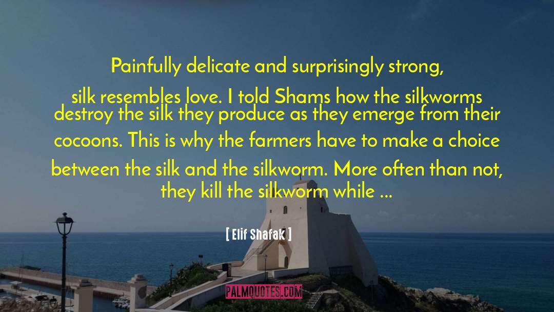 Shams quotes by Elif Shafak