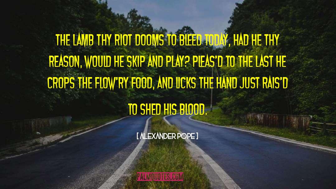 Shankman Food quotes by Alexander Pope