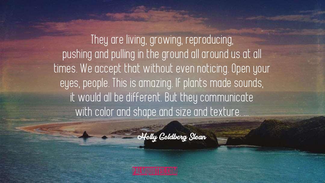 Shape And Size quotes by Holly Goldberg Sloan
