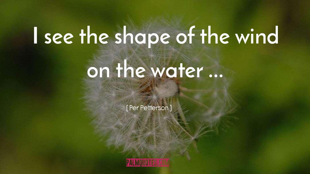 Shape quotes by Per Petterson