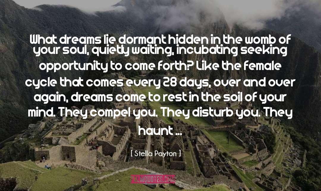 Shape The Dream quotes by Stella Payton