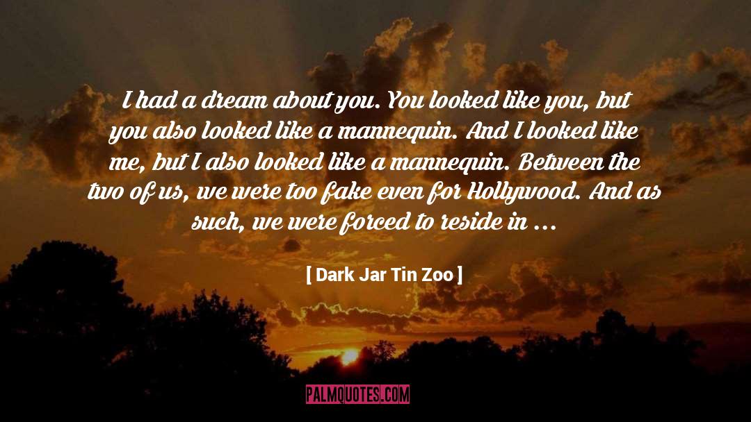 Shape The Dream quotes by Dark Jar Tin Zoo