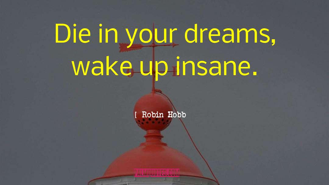 Shape Your Dreams quotes by Robin Hobb