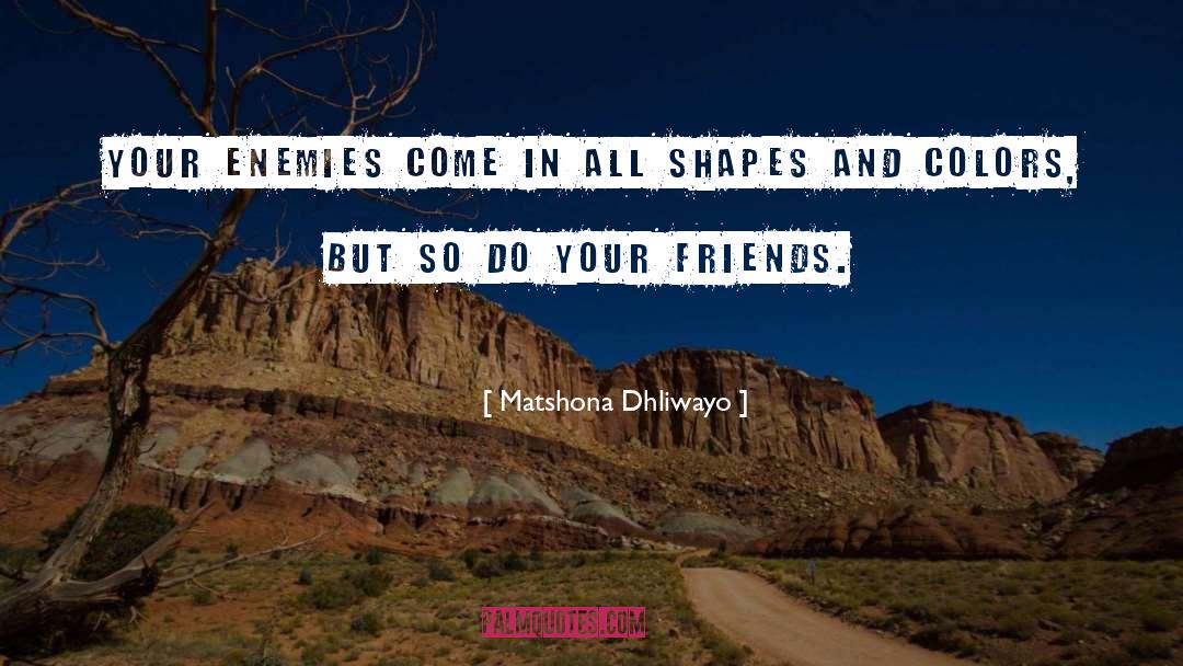 Shapes And Colors quotes by Matshona Dhliwayo