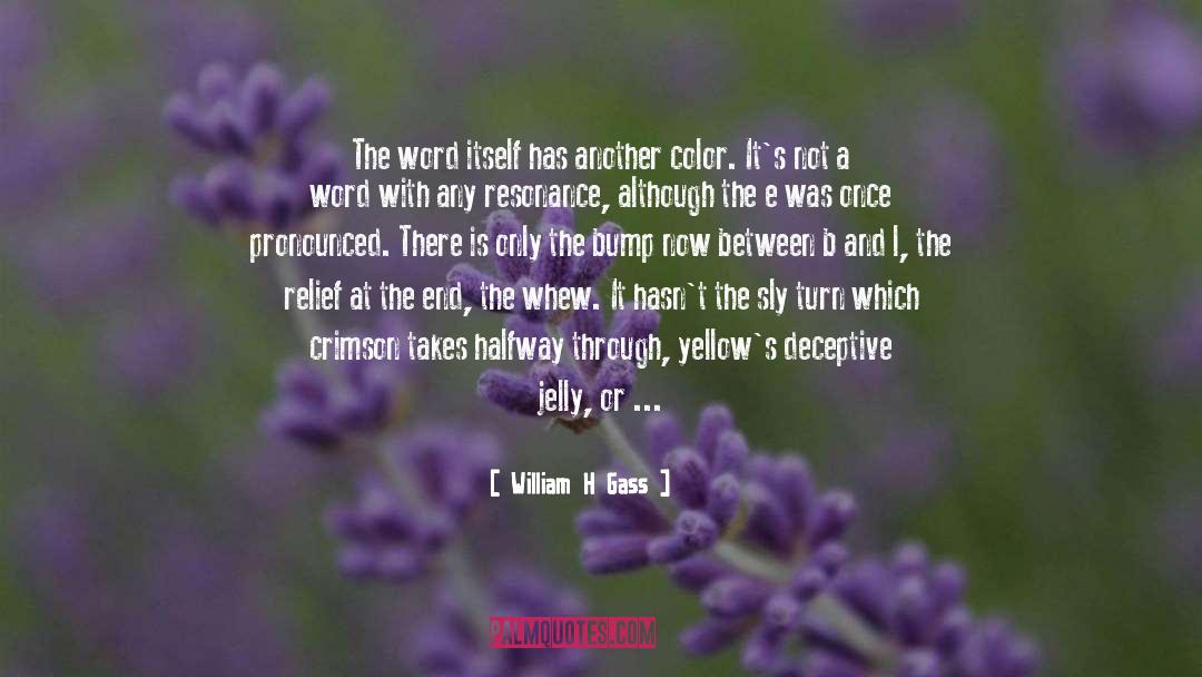 Shapes And Colors quotes by William H Gass