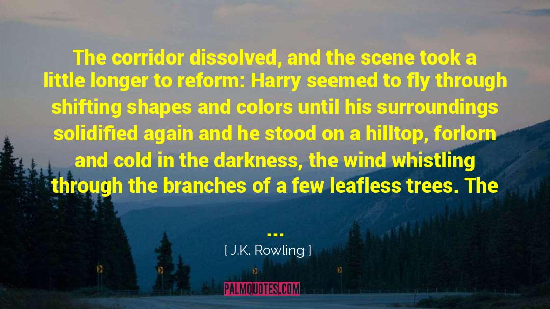 Shapes And Colors quotes by J.K. Rowling