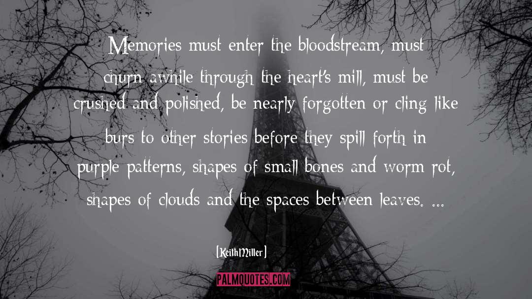 Shapes Of Clouds quotes by Keith Miller