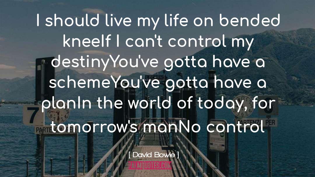 Shaping Destiny quotes by David Bowie