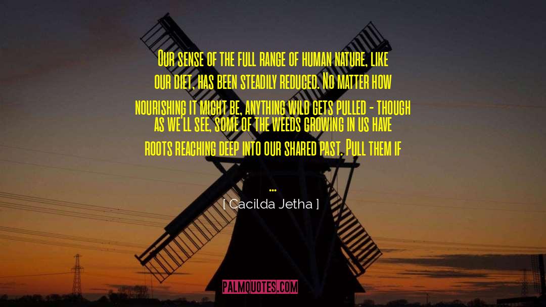 Shared Past quotes by Cacilda Jetha