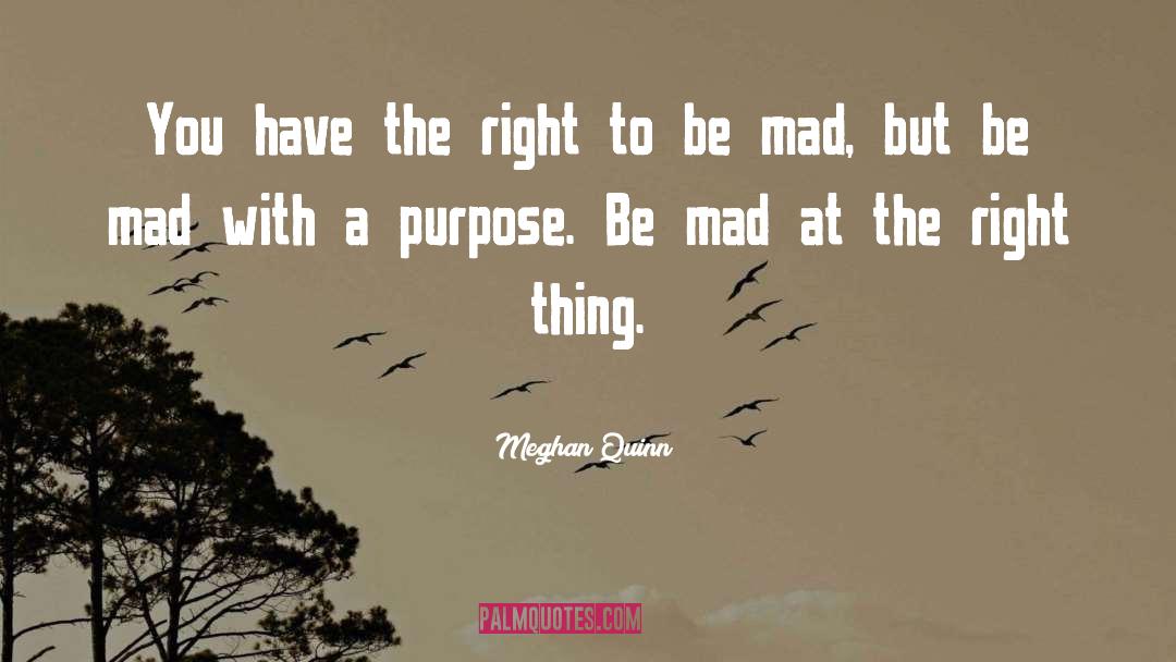 Shared Purpose quotes by Meghan Quinn