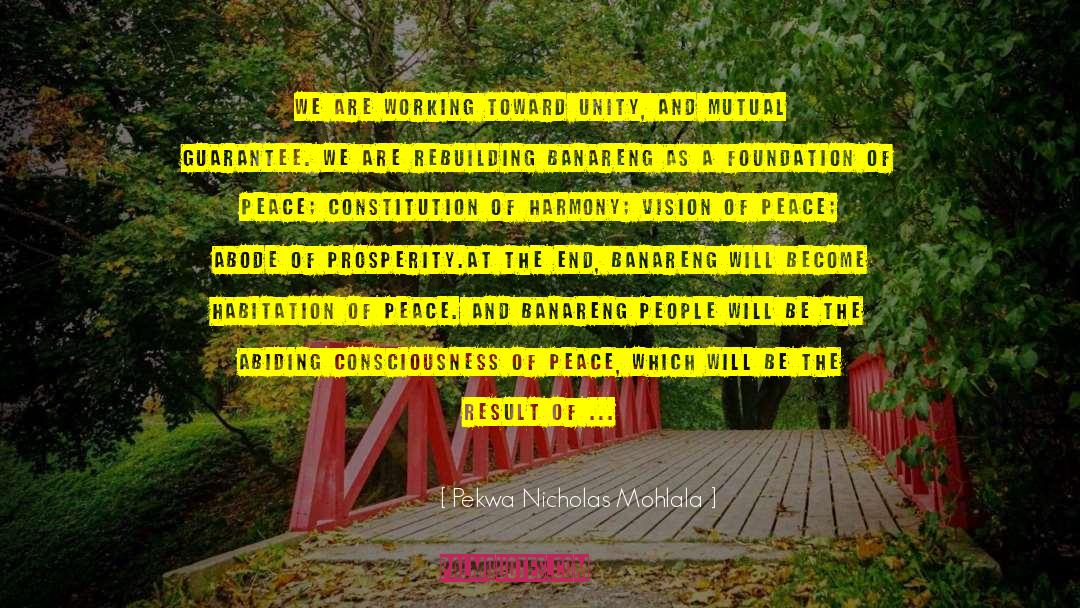 Shared Vision quotes by Pekwa Nicholas Mohlala