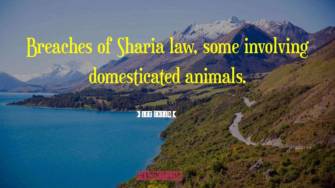Sharia Law quotes by Lee Child