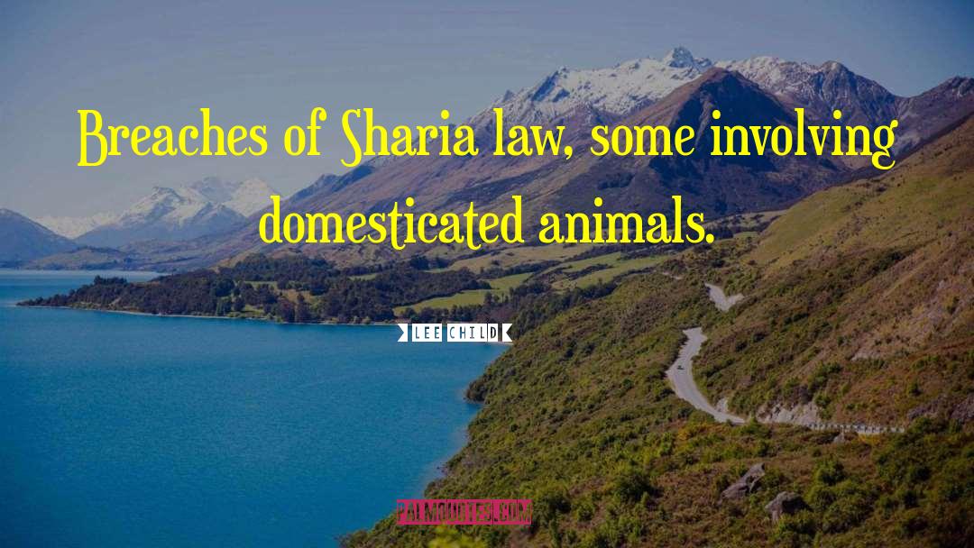 Sharia quotes by Lee Child