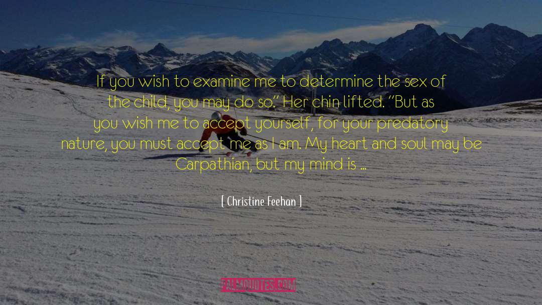 Sharing Your Testimony quotes by Christine Feehan