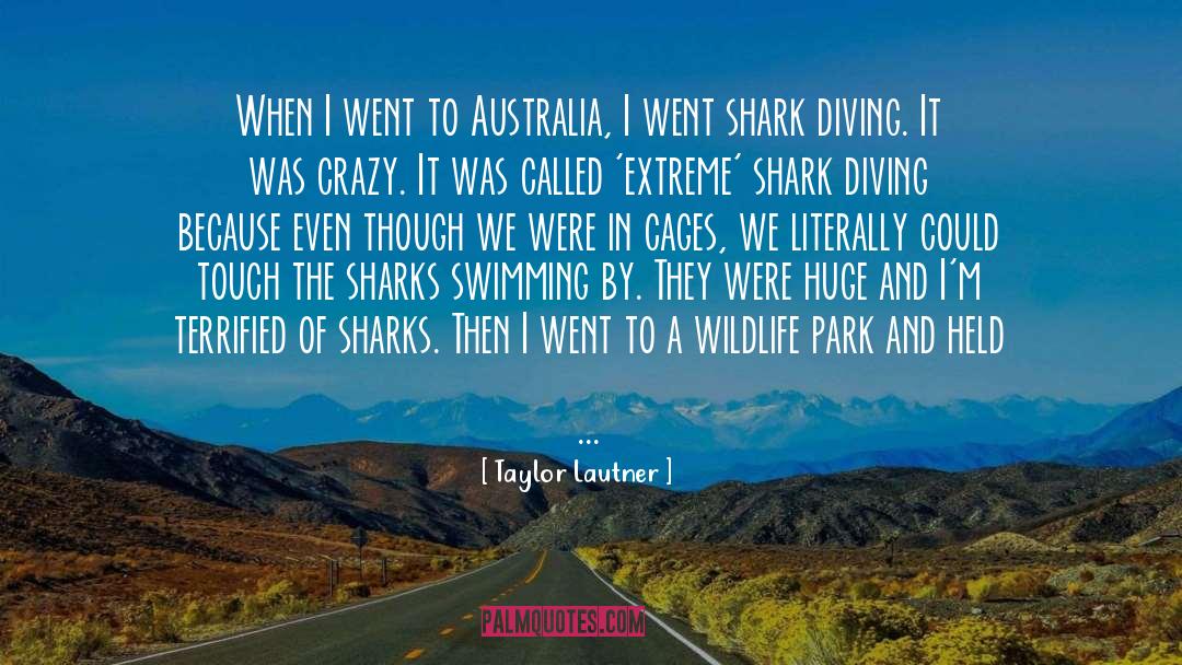Shark quotes by Taylor Lautner