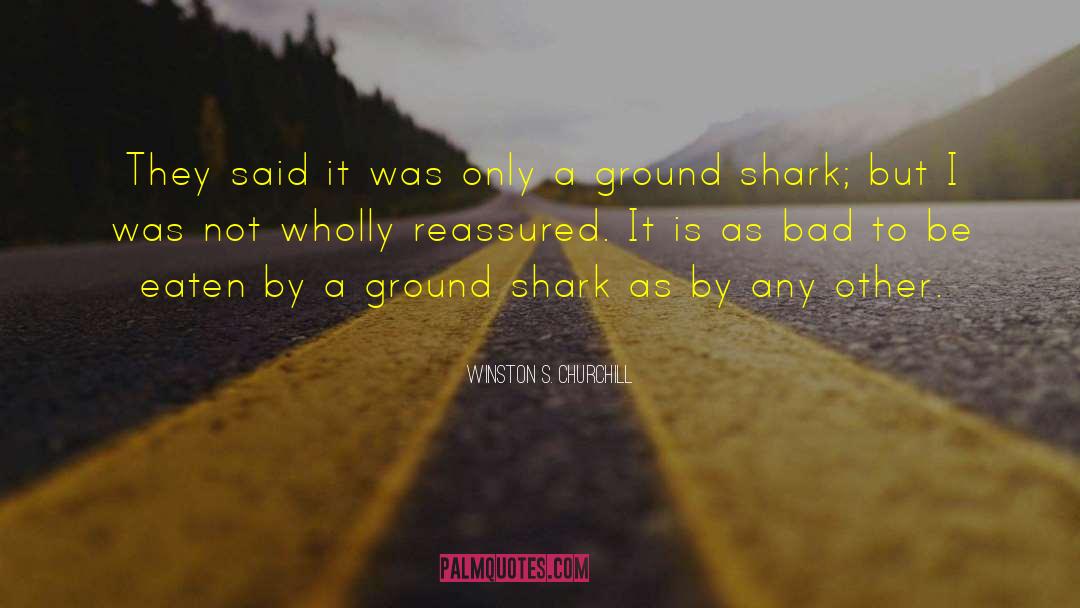 Shark S Tooth quotes by Winston S. Churchill