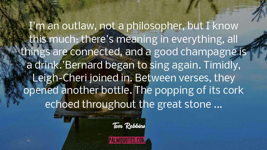 Sharp And Stone quotes by Tom Robbins