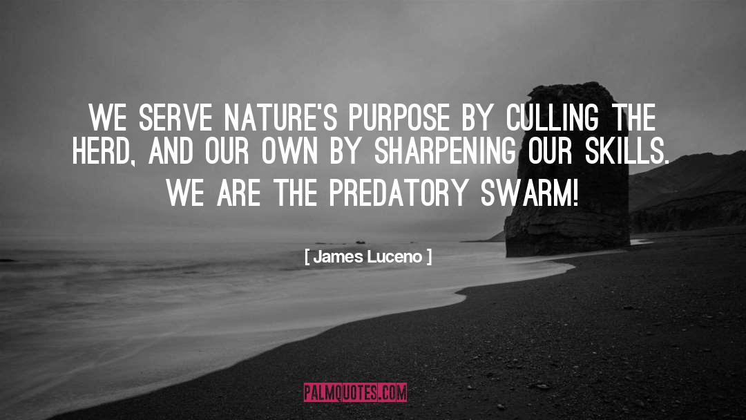 Sharpening quotes by James Luceno