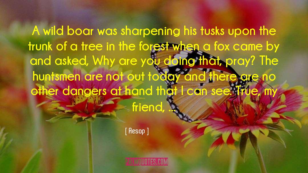 Sharpening quotes by Aesop
