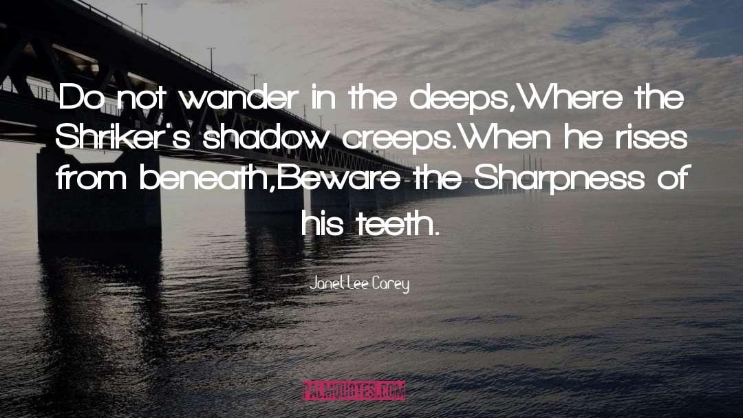 Sharpness quotes by Janet Lee Carey