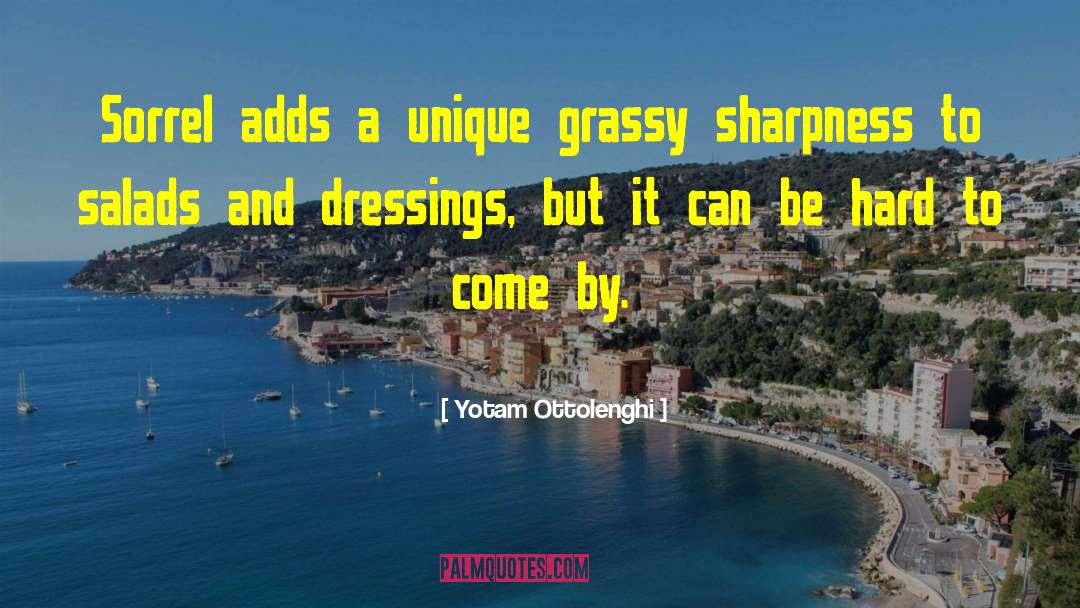 Sharpness quotes by Yotam Ottolenghi