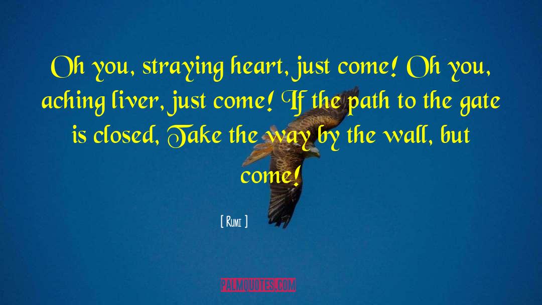 Shatru Gate quotes by Rumi