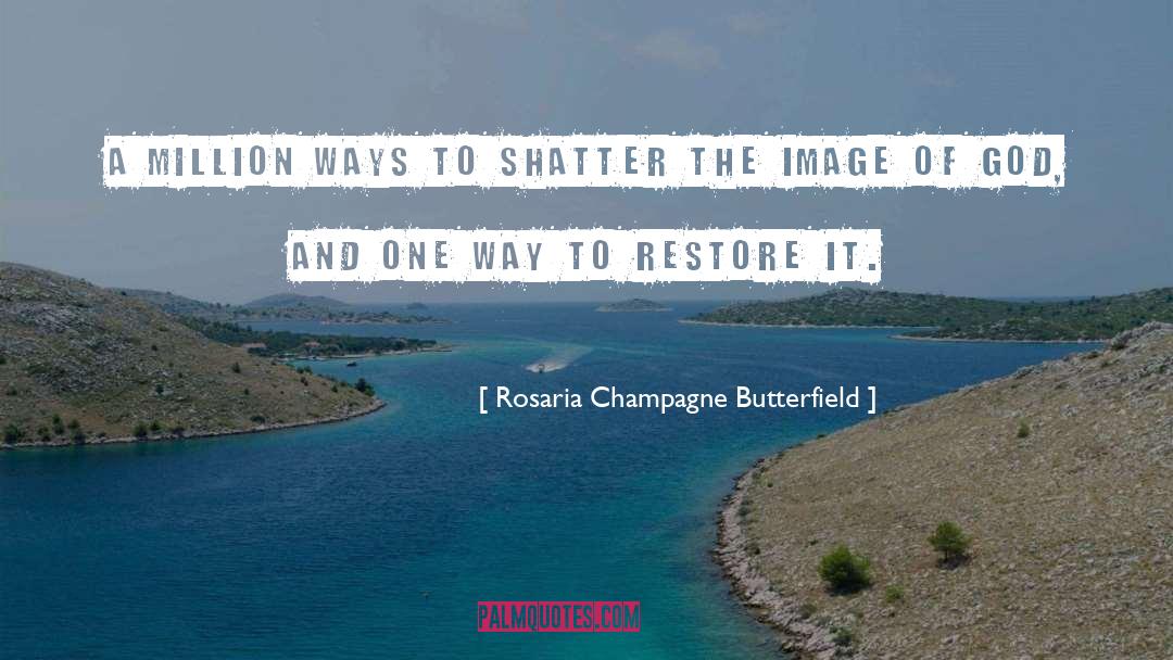 Shatter quotes by Rosaria Champagne Butterfield