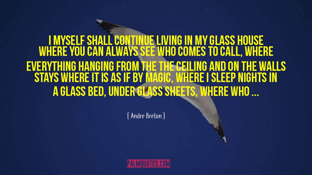 Shatter The Glass Ceiling quotes by Andre Breton