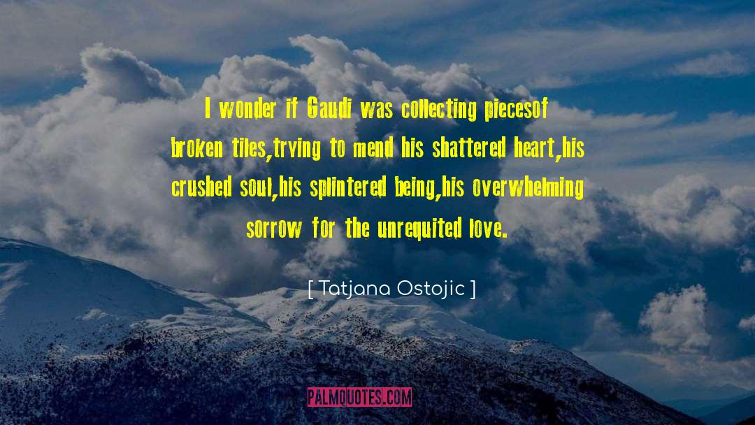 Shattered Heart quotes by Tatjana Ostojic
