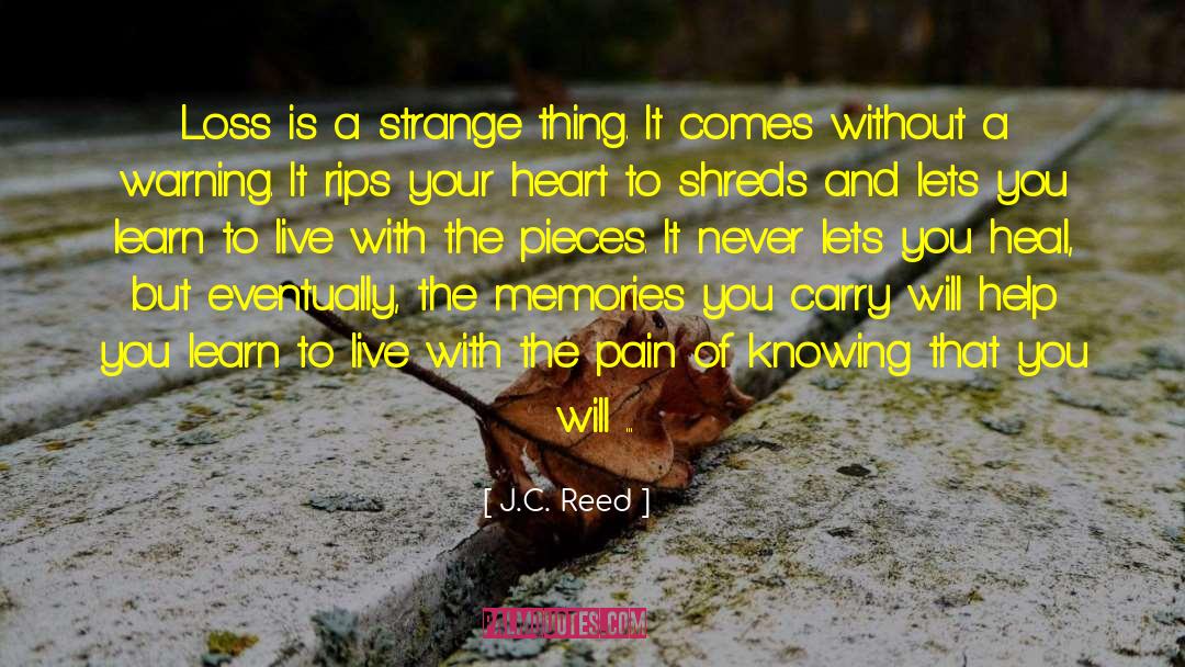 Shattered Pieces quotes by J.C. Reed